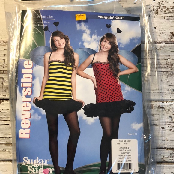 Dreamgirl Dresses & Skirts - 2 for $10 Reversible Ladybug 🐞 & Bee 🐝 Costume